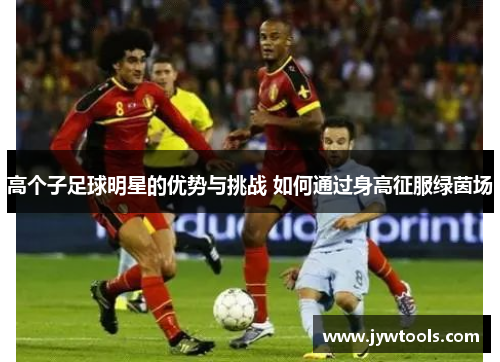 高个子足球明星的优势与挑战 如何通过身高征服绿茵场